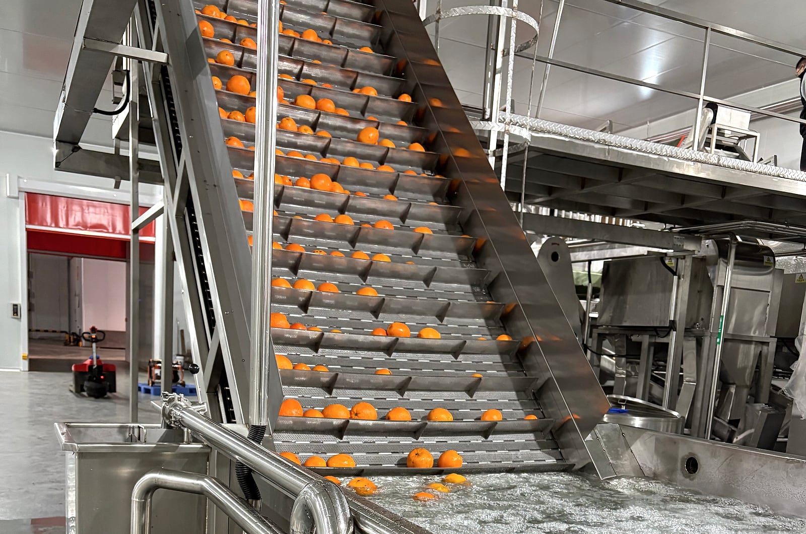 Real citrus elevator feed section before extraction and juice collection