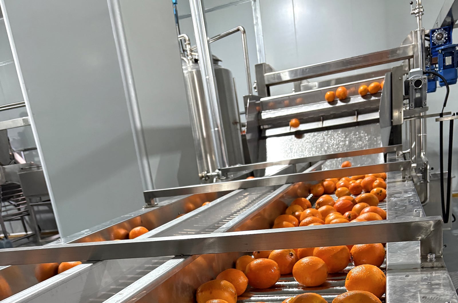 Real citrus transfer chute after washing before downstream extraction equipment